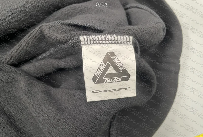 Palace x Oakley Hoodie 6