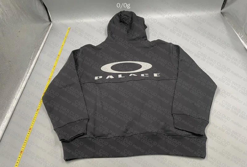 Palace x Oakley Hoodie 7