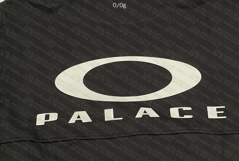 Palace x Oakley Hoodie 8