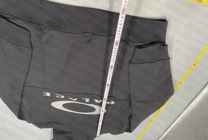 Palace x Oakley Hoodie 9