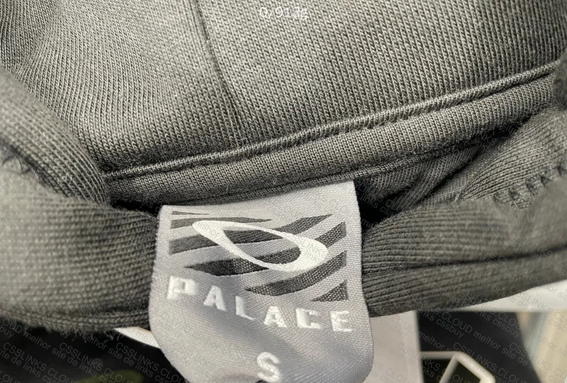 Palace x Oakley Hoodie 10
