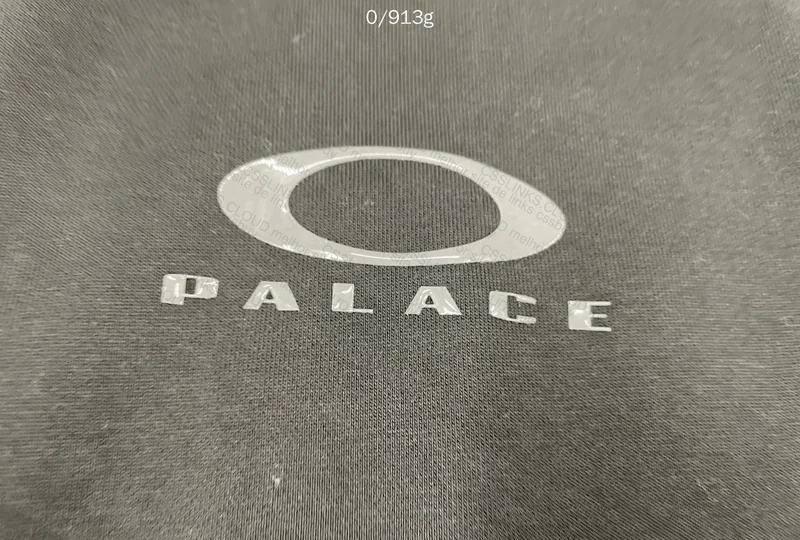 Palace x Oakley Hoodie 7