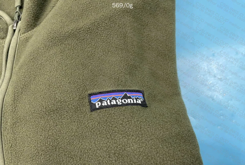 Patagonia Hoodie 4