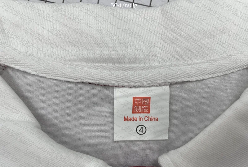 Polo Hoodie 4