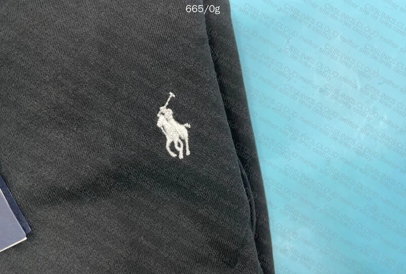 Polo Hoodie 2