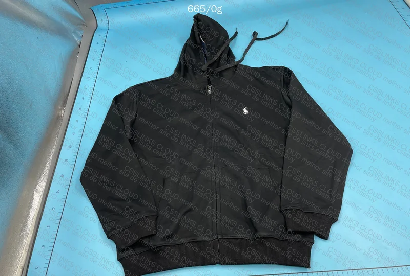 Polo Hoodie 3