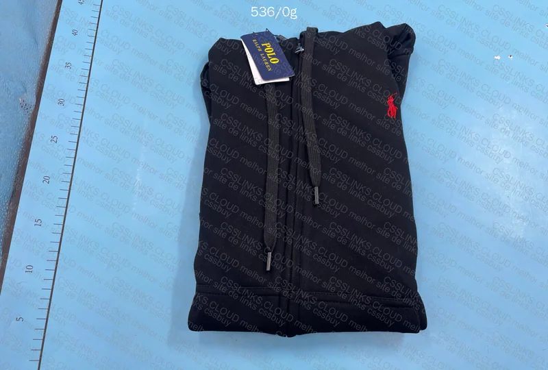 Polo Ralph Lauren Hoodie (PLEASE OPINE)