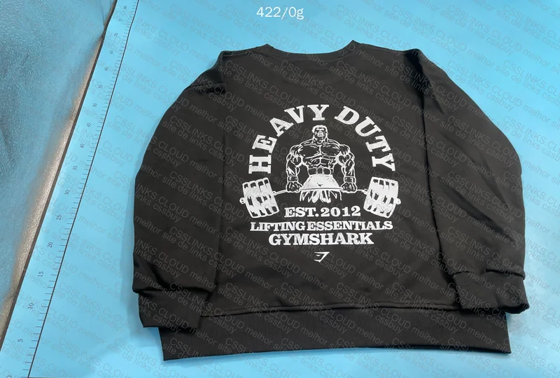 Hoodie to Train with Style