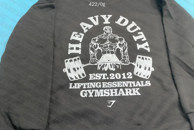 Hoodie to Train with Style 2