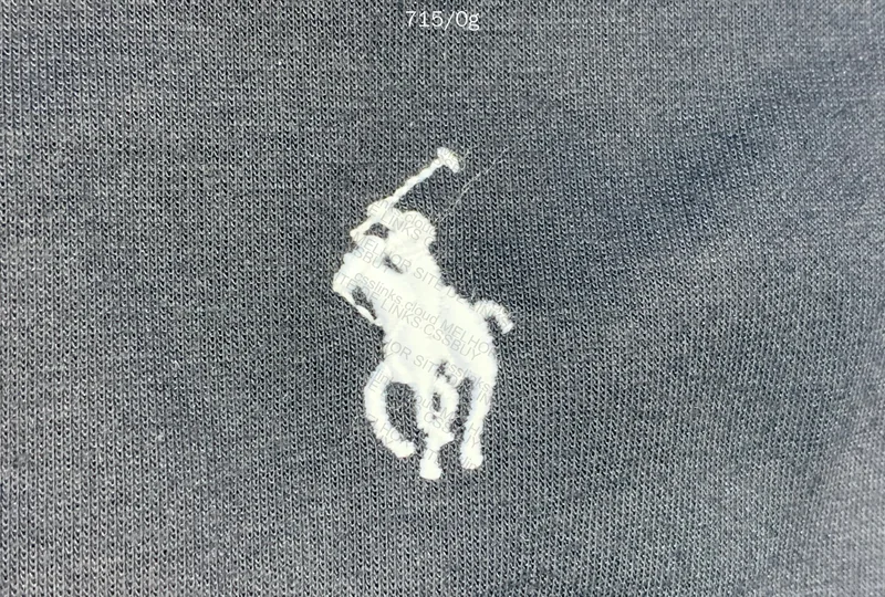 Ralph Lauren Hoodie 5