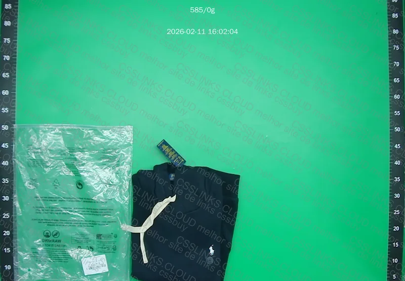 moletom ralph lauren