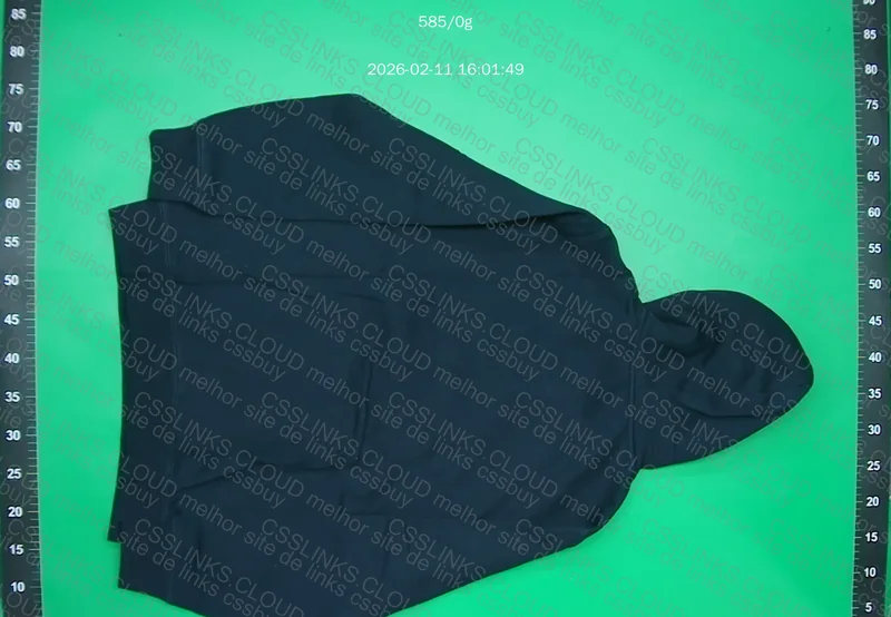 moletom ralph lauren 2
