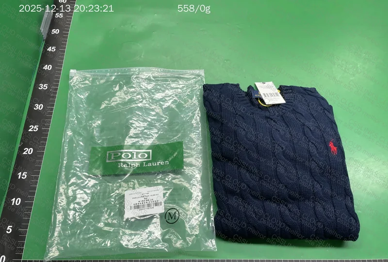 Ralph Lauren GL Logo Hoodie 2