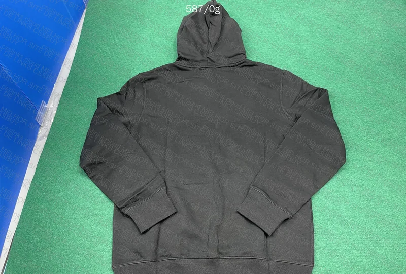 Ralph Lauren Hoodie NEW DP 3