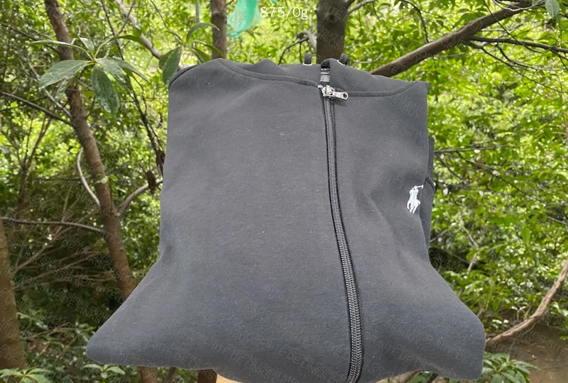 Ralph Lauren Hoodie Newdp 2