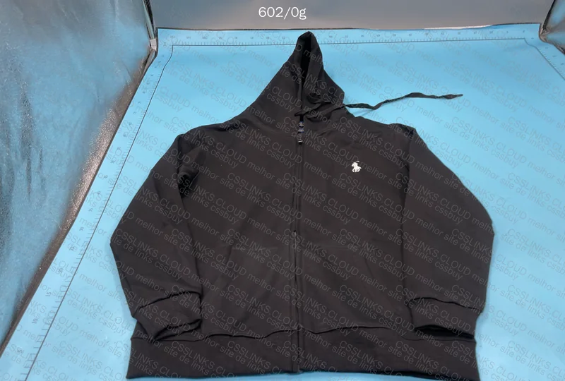 Ralph Lauren Hoodie (Please Provide Opinion)
