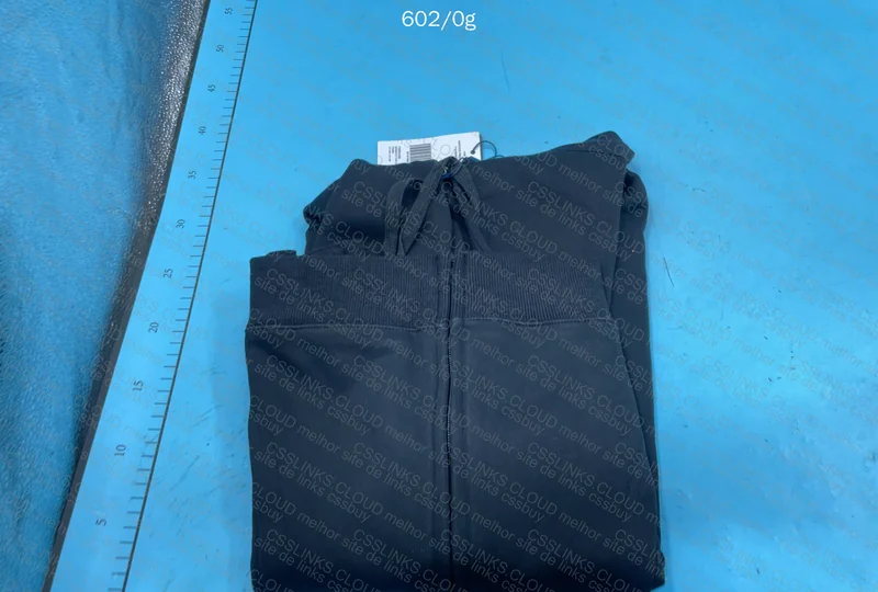 Ralph Lauren Hoodie (Please Provide Opinion) 3
