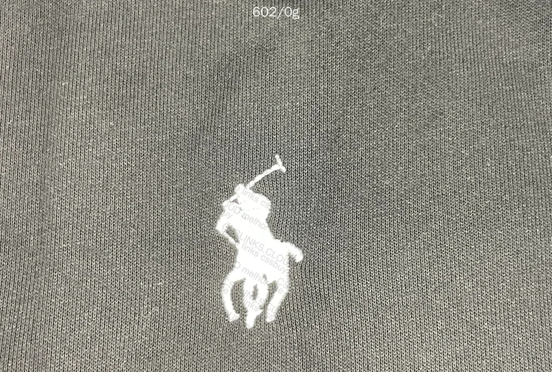 Ralph Lauren Hoodie (Please Provide Opinion) 5