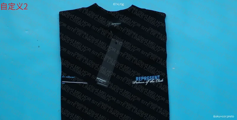 Represent Hoodie (Seller Sent Wrong) 2