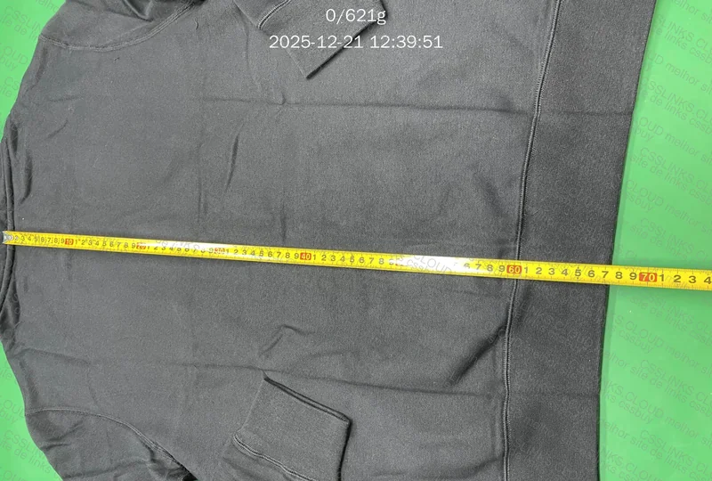RL Hoodie New DP 2