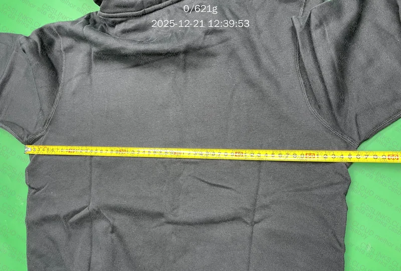 RL Hoodie New DP 6