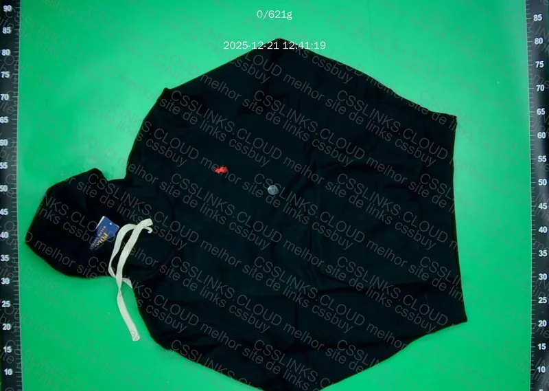 RL Hoodie New DP 7