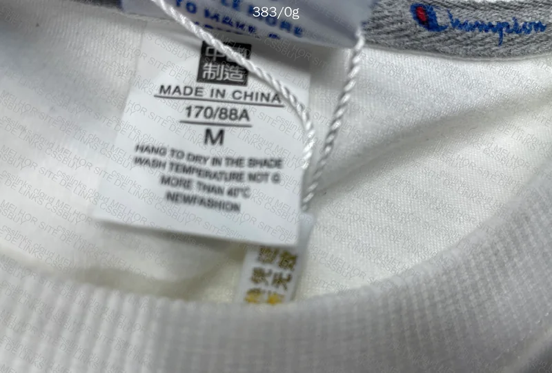 Champion Hoodie (No Hood)