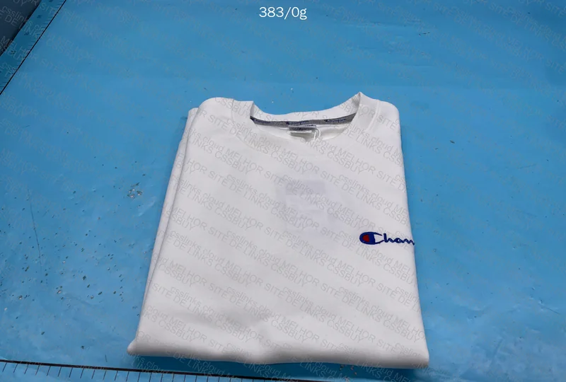 Champion Hoodie (No Hood) 2