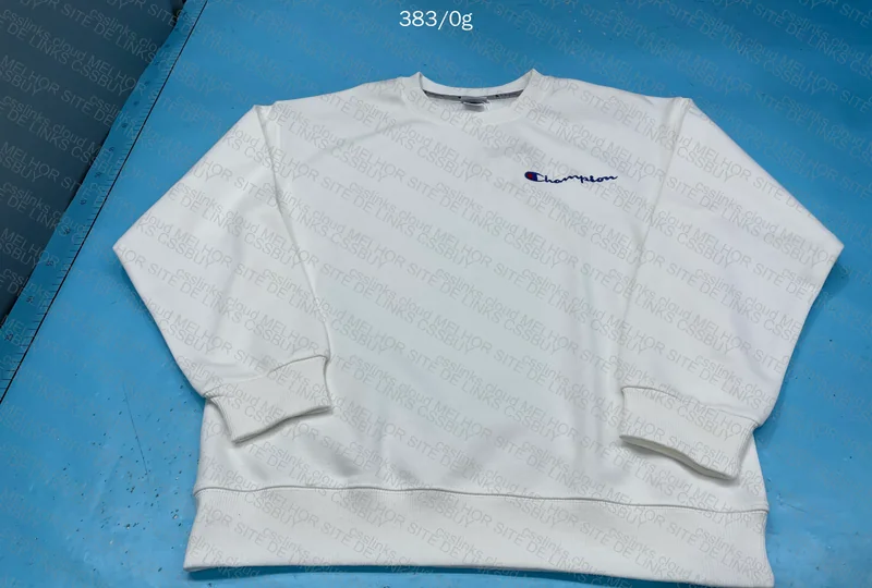 Champion Hoodie (No Hood) 3