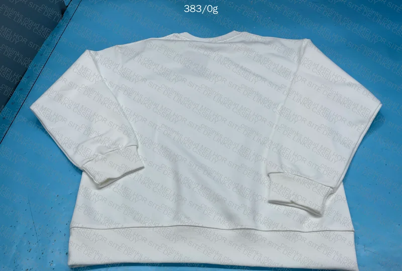 Champion Hoodie (No Hood) 4