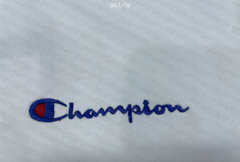 Champion Hoodie (No Hood) 5