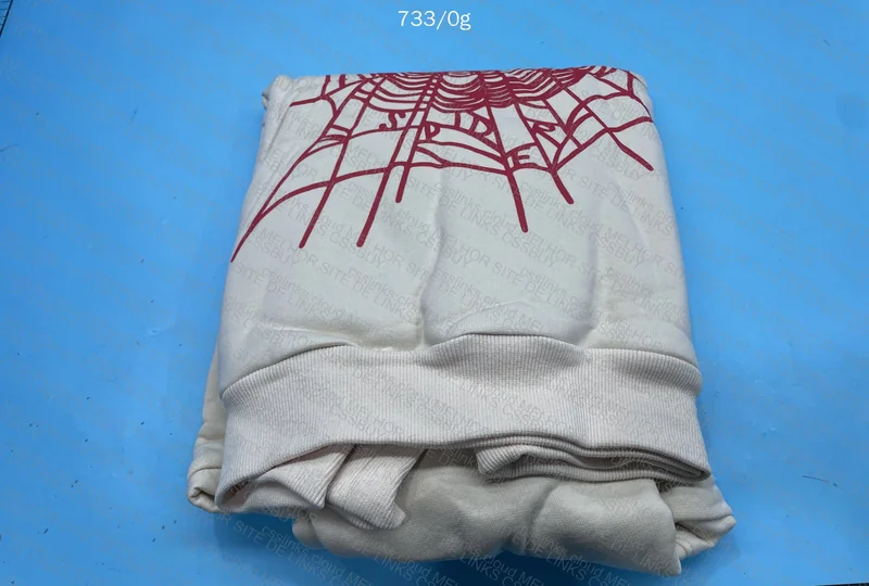 Sp5der Hoodie 3