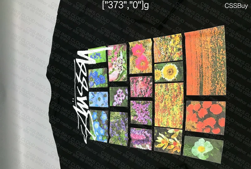 Stussy Hoodie 2