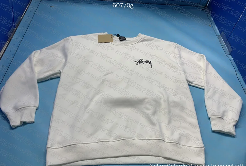 Stussy Data Hoodie 2
