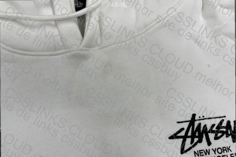 Stussy Husk Hoodie 9