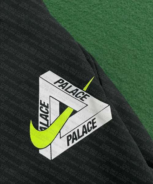 Super Cool Palace Nike Tiger Hoodie 3