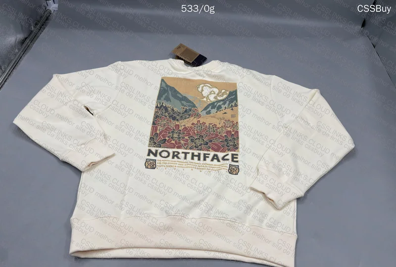 The North Face Hoodie 2
