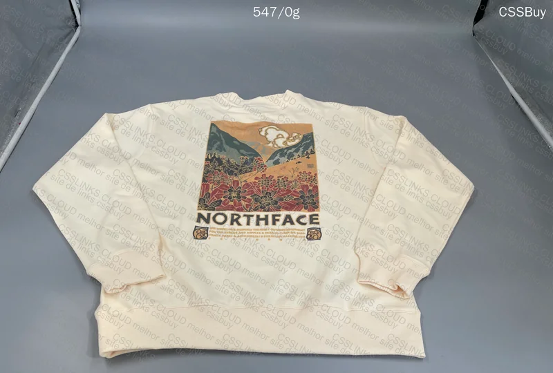 Moletom The North Face 2