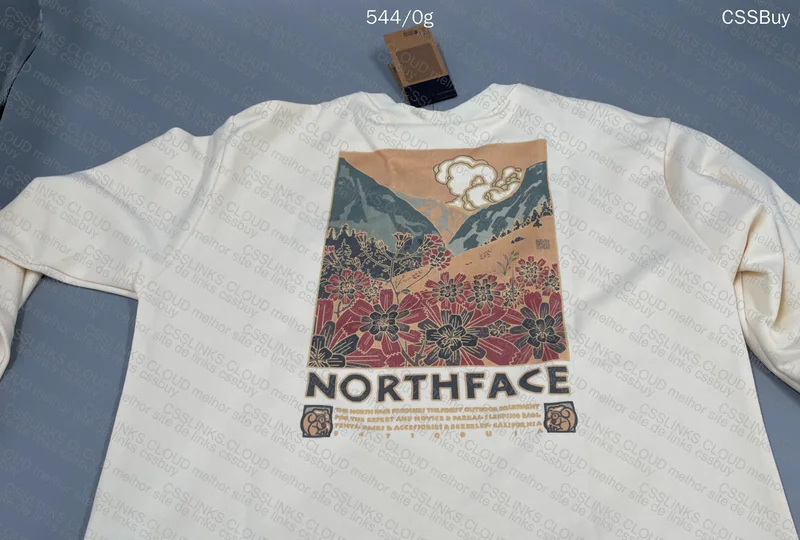 The North Face Hoodie 4