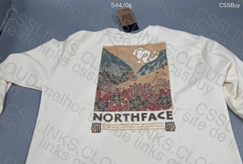 The North Face Hoodie 7