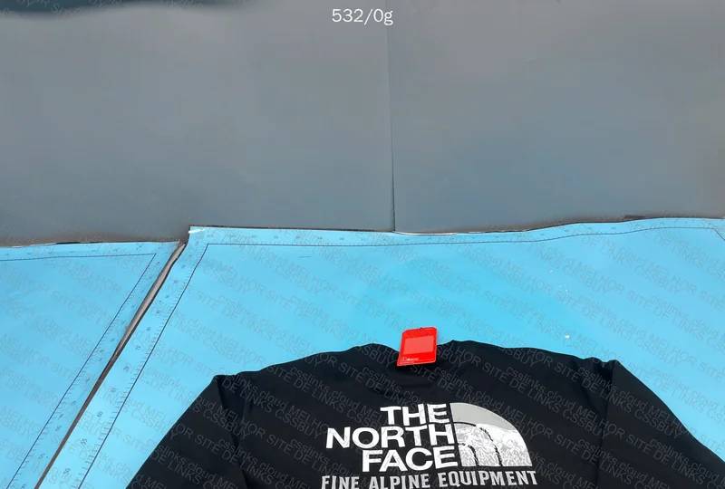 The North Face Hoodie