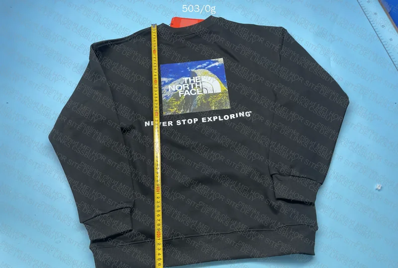 The North Face Hoodie 3