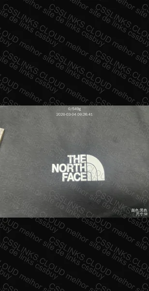 Moletom The north face 3