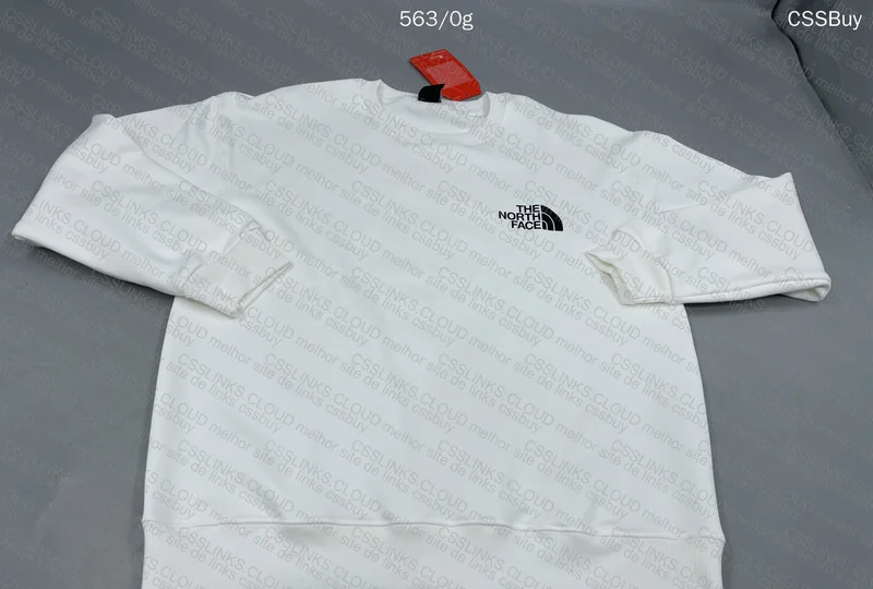 The North Face Hoodie (gl?)