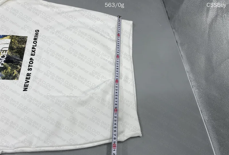 The North Face Hoodie (gl?) 10