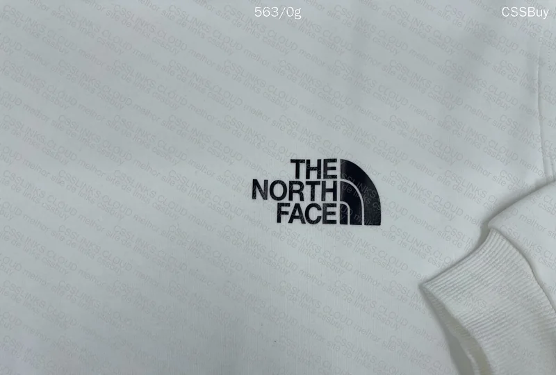 The North Face Hoodie (gl?) 3