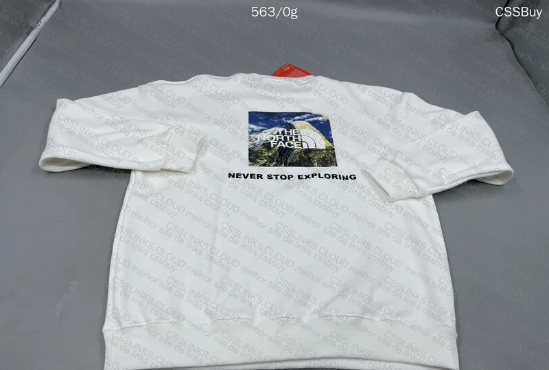 The North Face Hoodie (gl?) 4