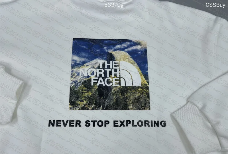 The North Face Hoodie (gl?) 6