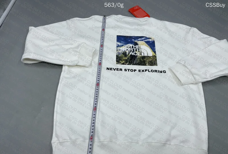 The North Face Hoodie (gl?) 7