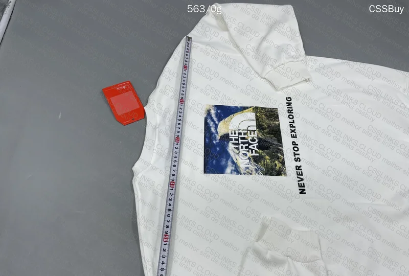 The North Face Hoodie (gl?) 8